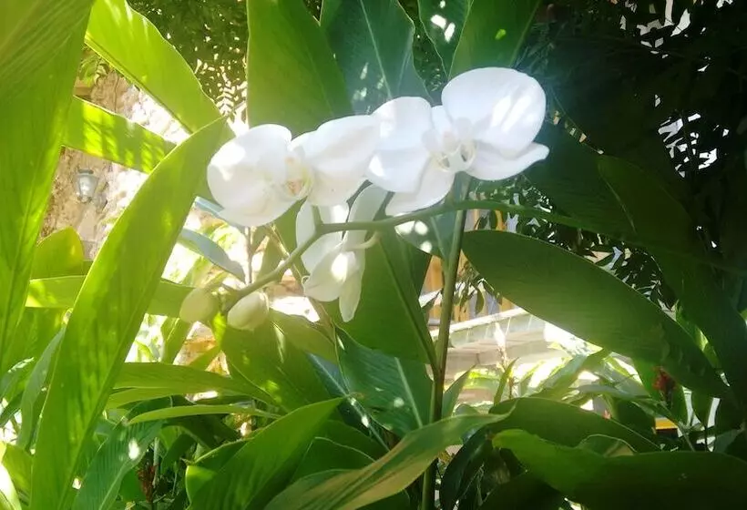 Отель Estalagem Porto Seguro