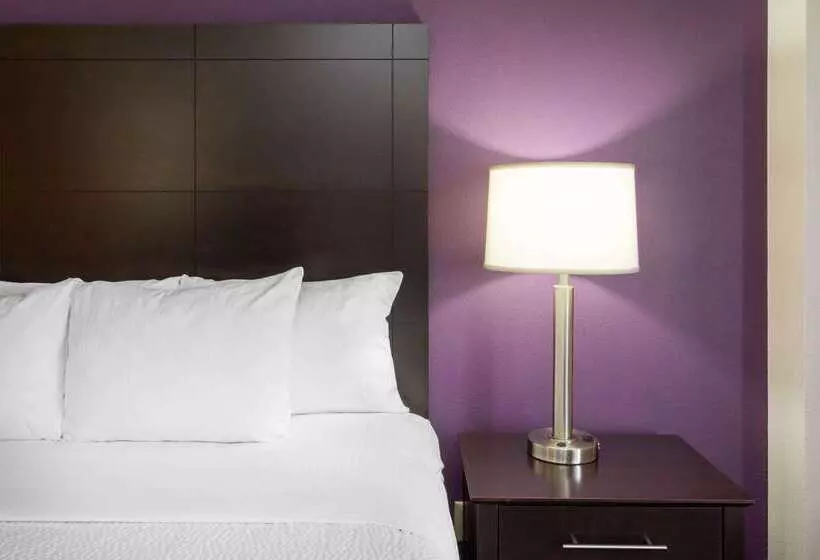 هتل La Quinta By Wyndham Minneapolis Bloomington W   Free Airport Shuttle