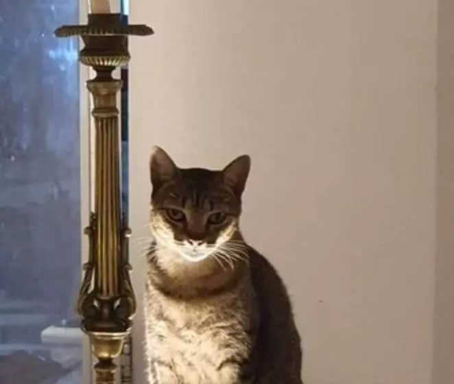 Отель Solar Das Artes Pousada Boutique  Morro