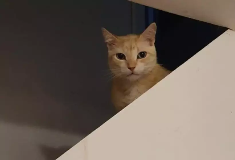 Отель Solar Das Artes Pousada Boutique  Morro