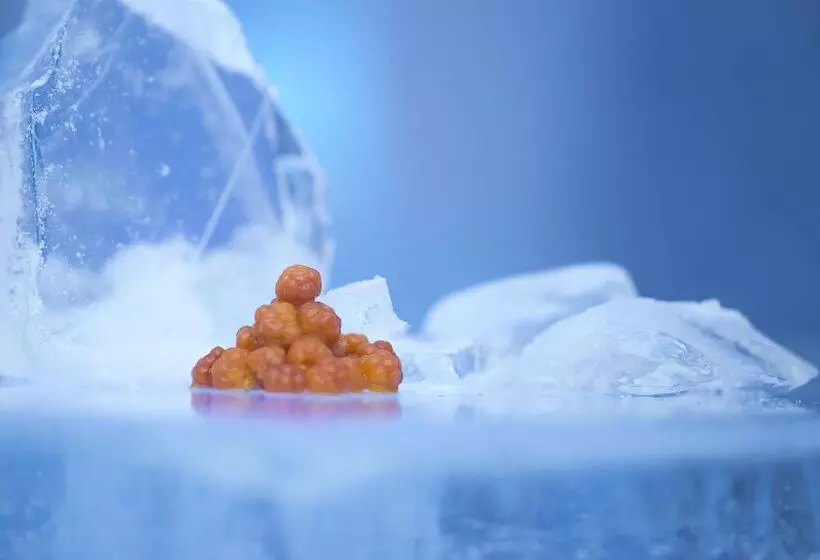 酒店 Sorrisniva Igloo