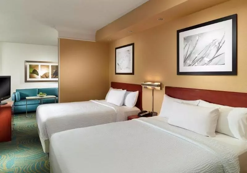 Отель Springhill Suites By Marriott Atlanta Buckhead