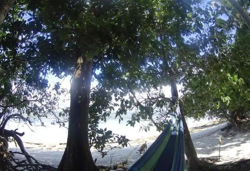 هتل Tranquility Island Eco Dive Resort