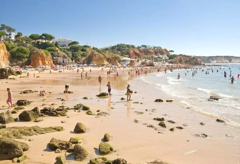 Apartamentos Do Parque