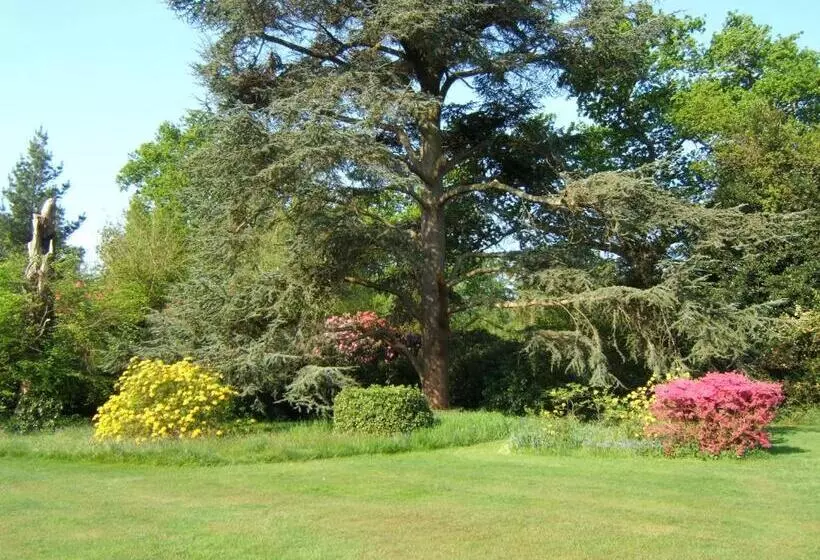 Bed and Breakfast Hollybank House