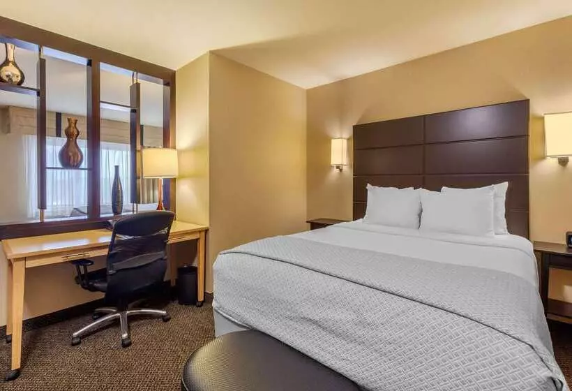 Cambria Hotel Ft Collins