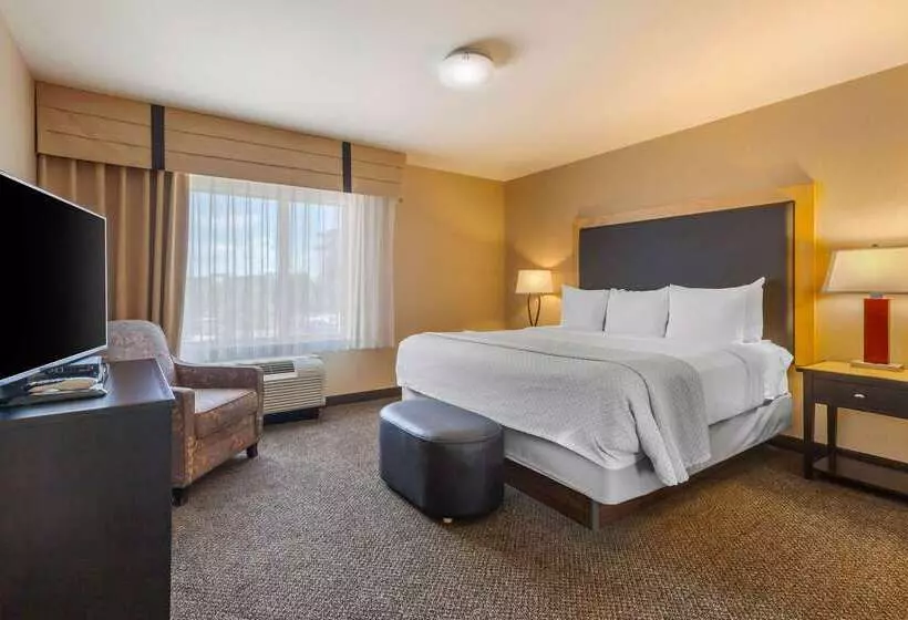 Cambria Hotel Ft Collins