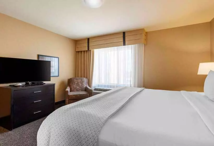 Cambria Hotel Ft Collins