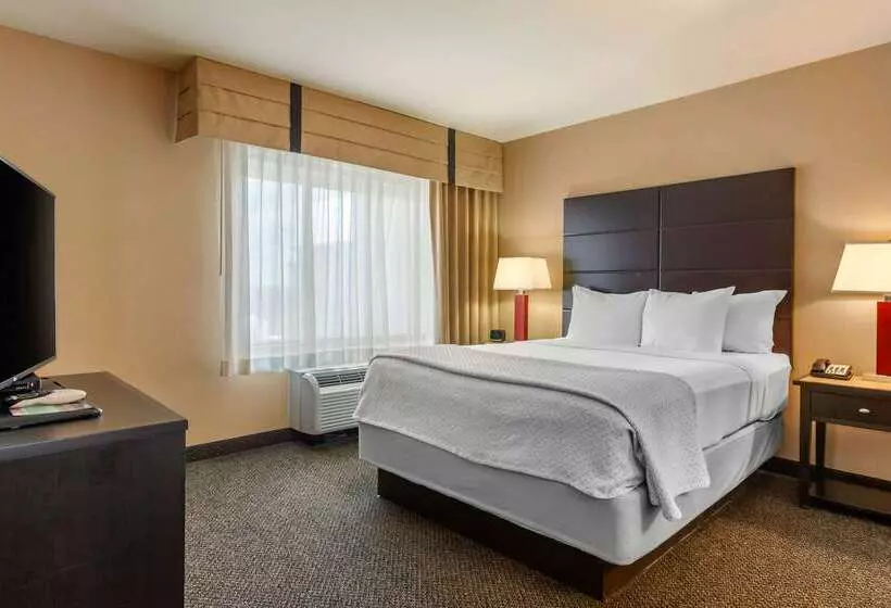 Cambria Hotel Ft Collins