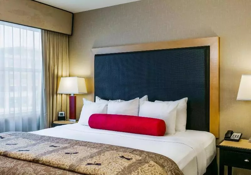 Cambria Hotel Ft Collins