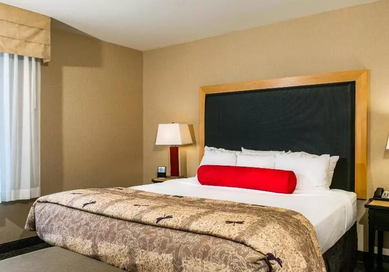 Cambria Hotel Ft Collins