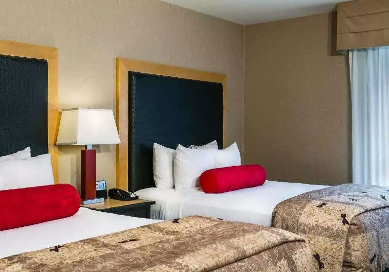 Cambria Hotel Ft Collins