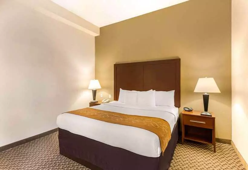 هتل Comfort Suites Columbia Gateway