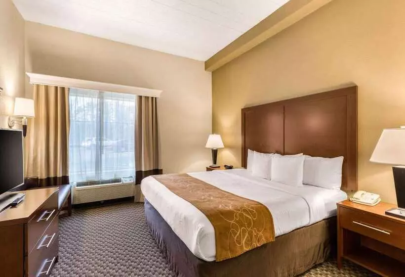 هتل Comfort Suites Columbia Gateway