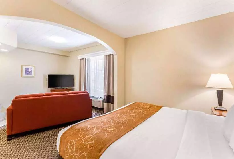 هتل Comfort Suites Columbia Gateway