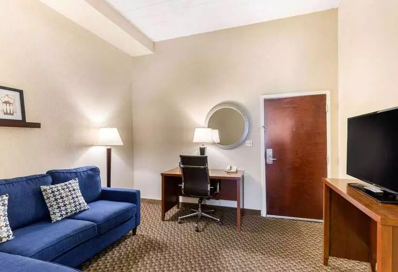 هتل Comfort Suites Columbia Gateway