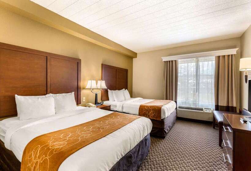 בית מלון כפרי Comfort Suites Columbia Gateway