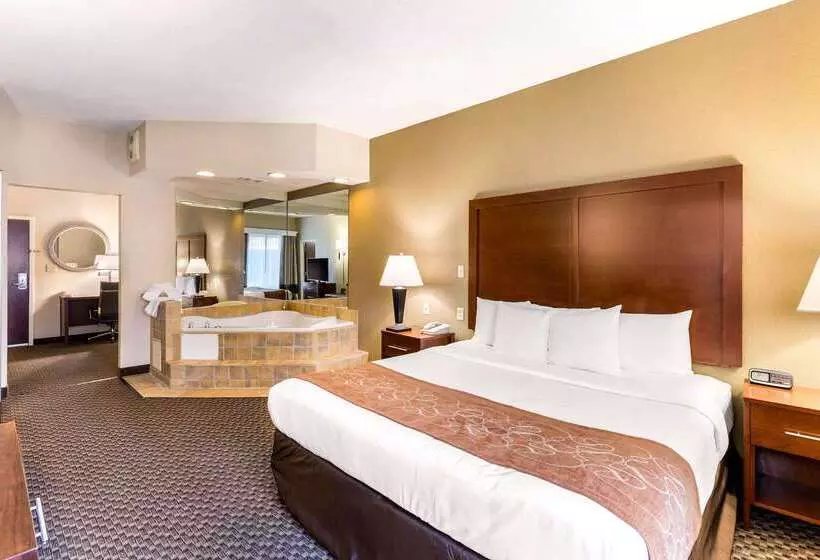 هتل Comfort Suites Columbia Gateway