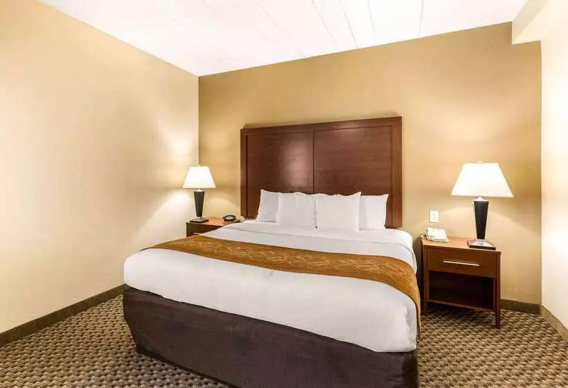 هتل Comfort Suites Columbia Gateway