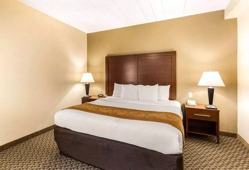 هتل Comfort Suites Columbia Gateway
