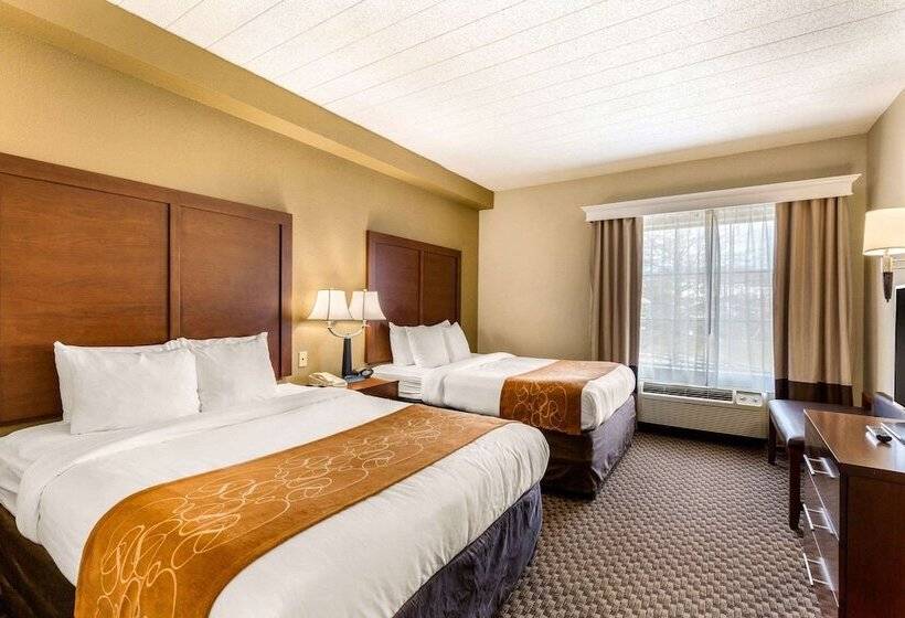 בית מלון כפרי Comfort Suites Columbia Gateway