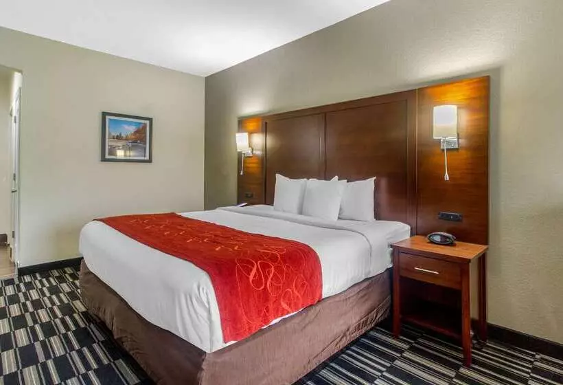 호텔 Comfort Suites