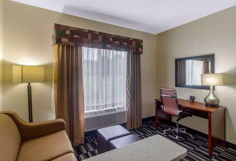 호텔 Comfort Suites