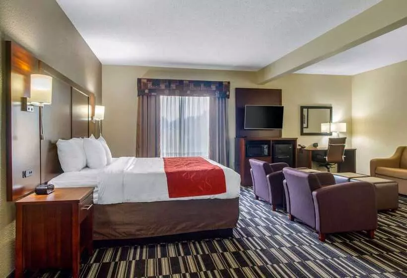 호텔 Comfort Suites