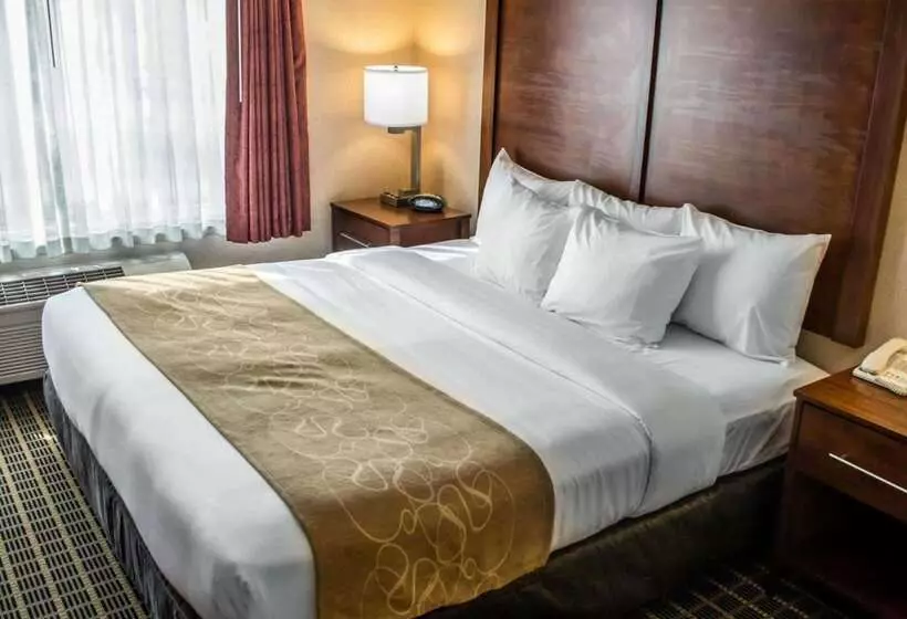 Отель Comfort Suites Portland Southwest
