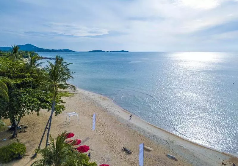 호텔 New Star Beach Resort