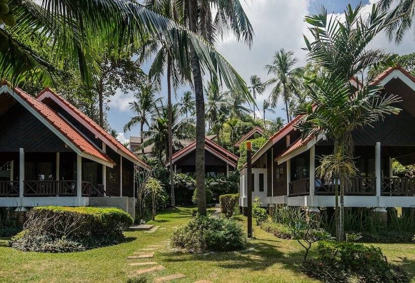 فندق New Star Beach Resort