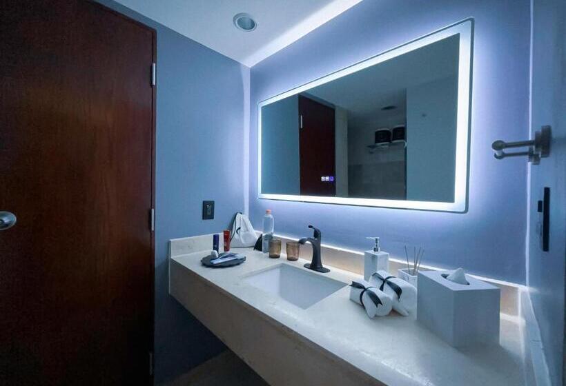 فندق Opus Grand Toluca Aeropuerto