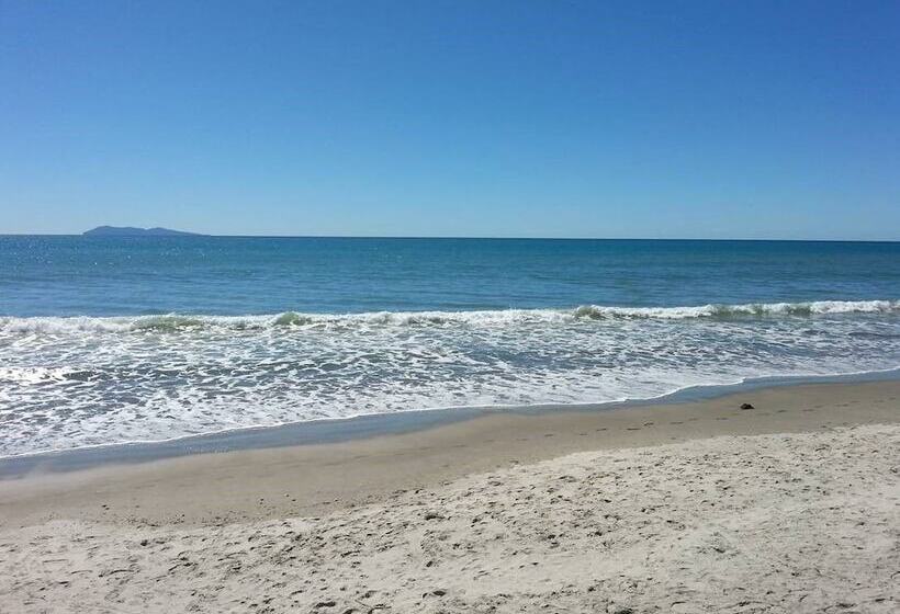 בית מלון כפרי Athenree Hot Springs & Holiday Park