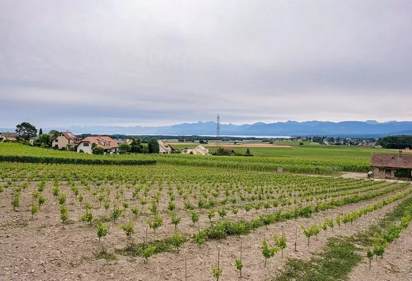 Hotelli Auberge De Duillier