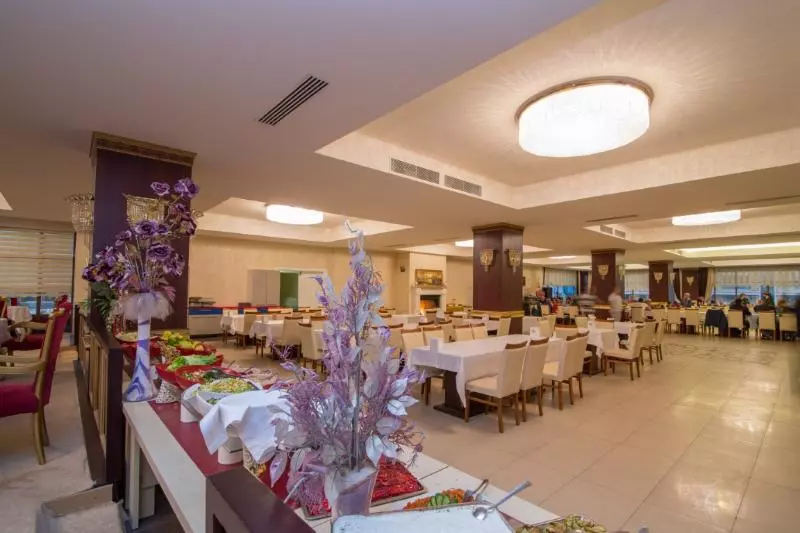 ホテル Grand Cinar Termal