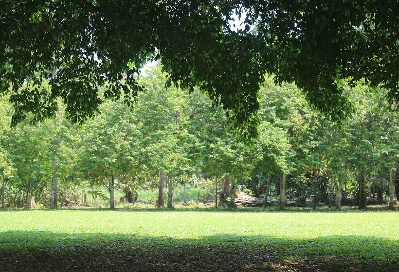 فندق La Habana Amazon Reserve