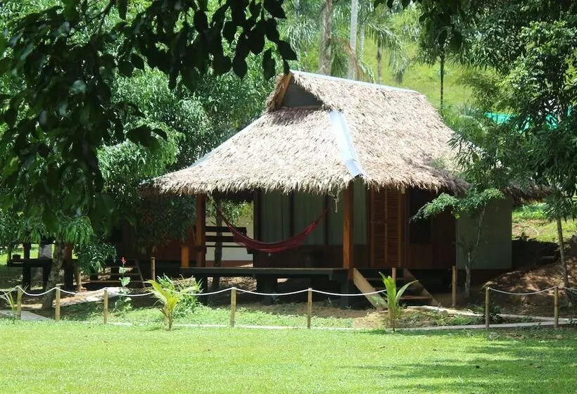 هتل La Habana Amazon Reserve
