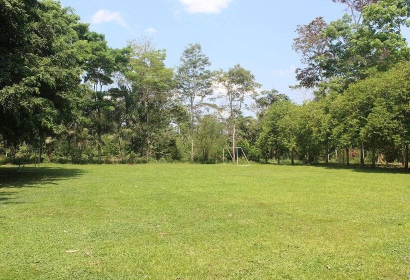 فندق La Habana Amazon Reserve