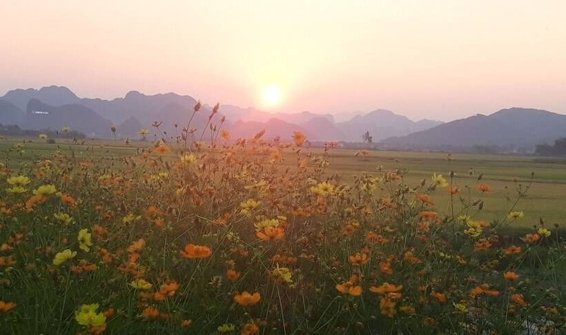 هتل Palafita Bungalow