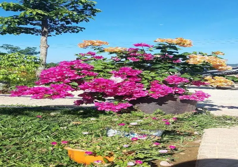 هتل Palafita Bungalow