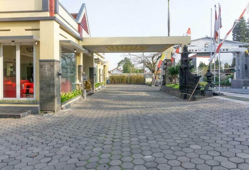 Отель Palem Sari