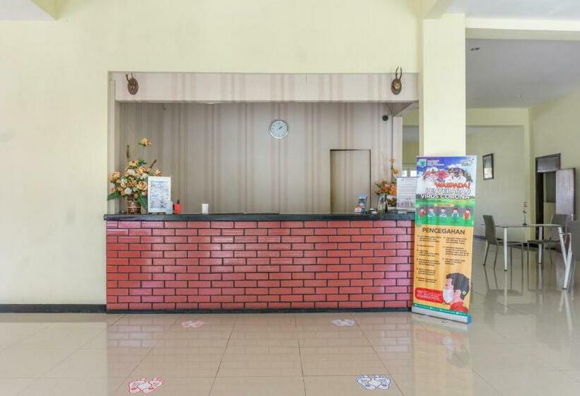 Отель Palem Sari