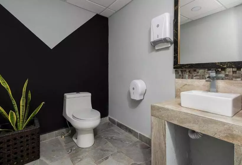 Hotelli Plaza Regina Torreon