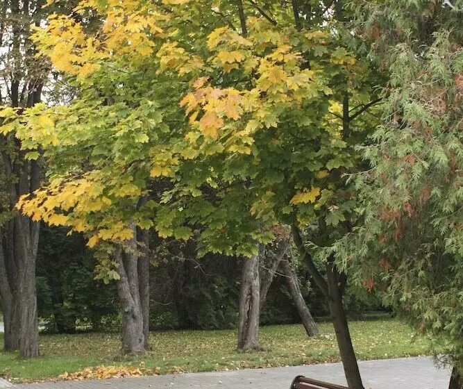 Hotelli Spa Resort Klyazma