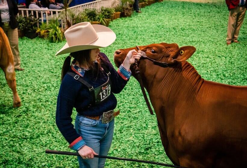 فندق Staybridge Suites Houston Galleria Area By Ihg