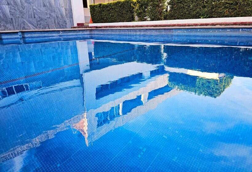 هتل Lavid Aguascalientes