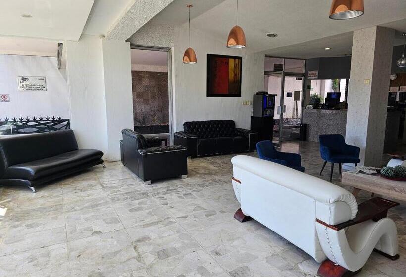 هتل Lavid Aguascalientes