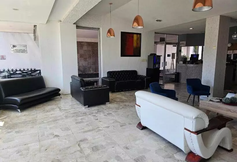 هتل Lavid Aguascalientes