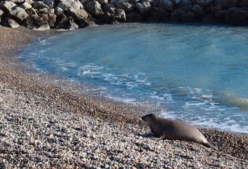 تختخواب و صبحانه Penn House