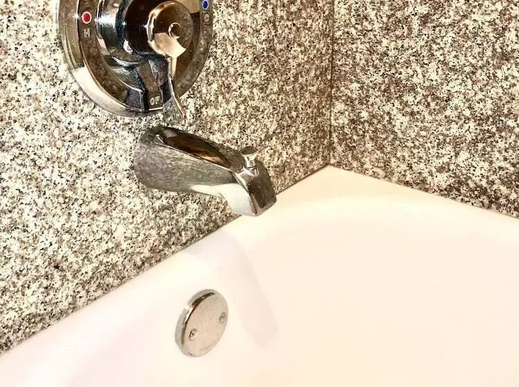 Motelli Best Inn Texas